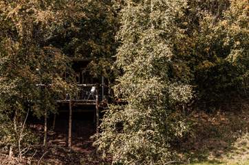 It's time to get back to nature and to unwind amongst the treetops.