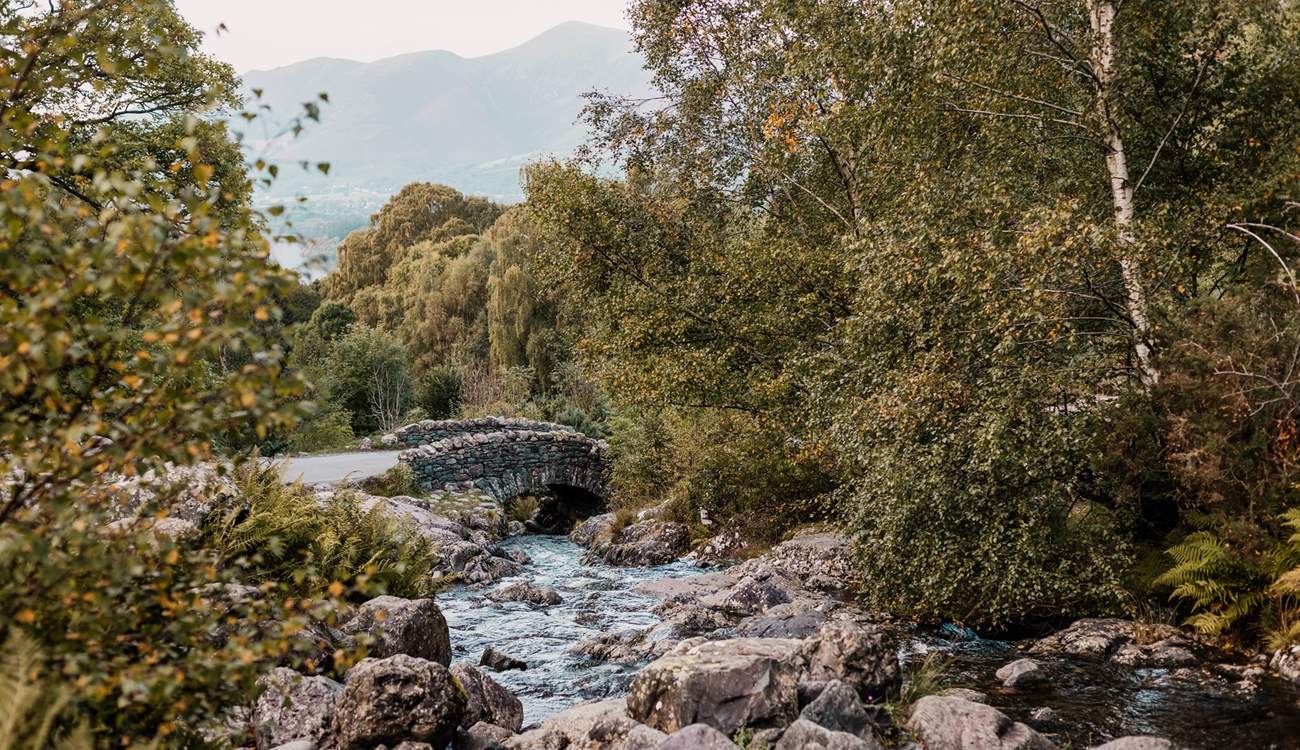 Picture-perfect moments await. 