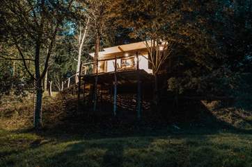 Your treetop hideaway awaits, welcome to Tawny Owl Treehouse.