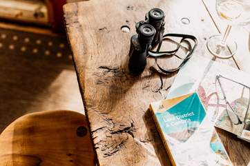 Where will the day's adventures take you?