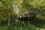 Escape back to nature and unwind amongst the treetops. 