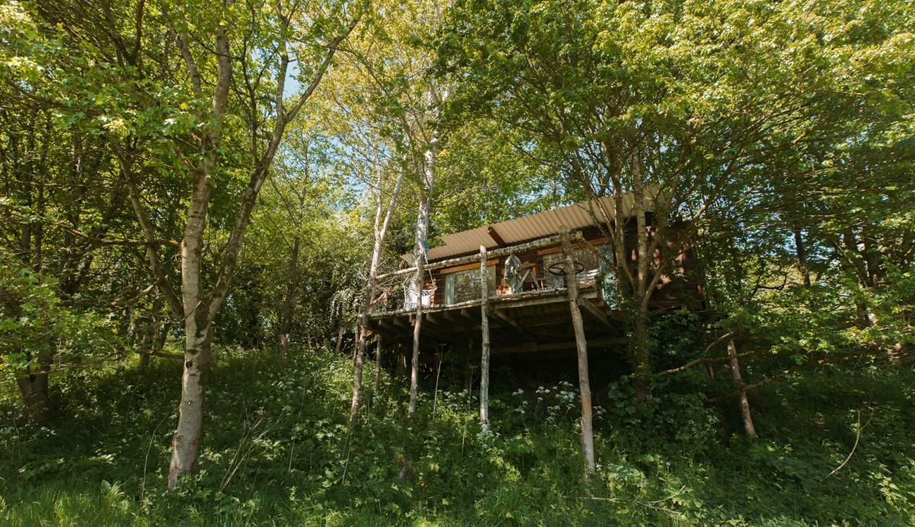 Escape back to nature and unwind amongst the treetops. 