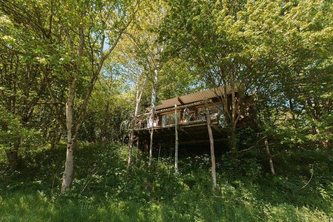 Escape back to nature and unwind amongst the treetops.