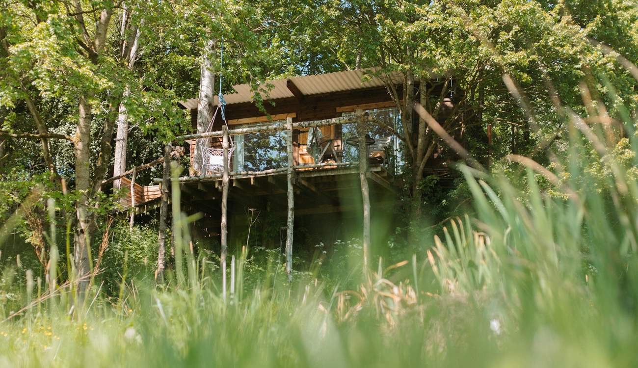 Your treetop hideaway awaits, welcome to Tawny Owl Treehouse. 