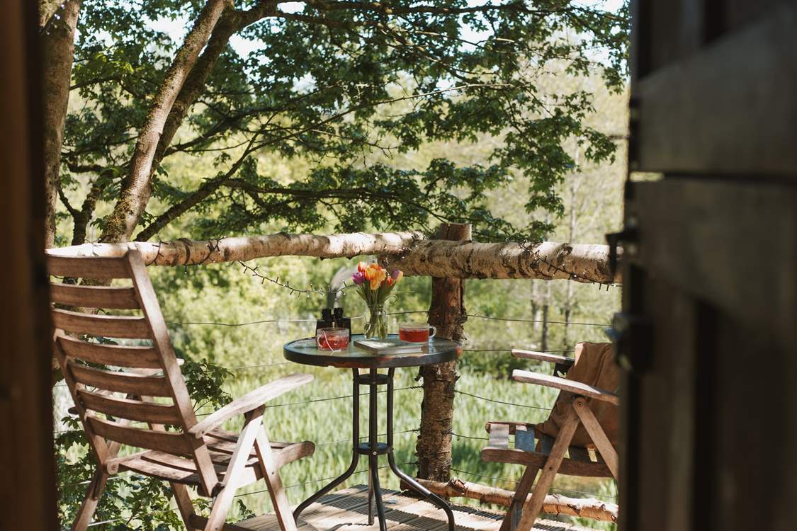 The outdoor space is simply a dream.