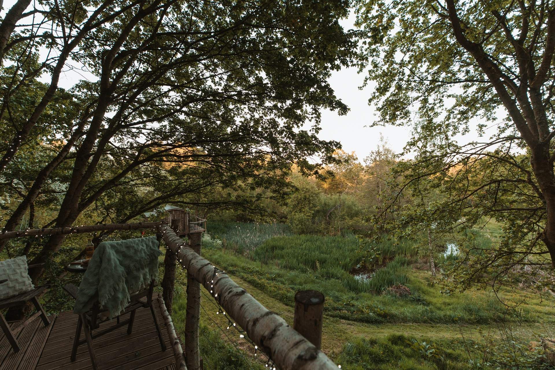 If you're quiet, you may be blessed with seeing birds and wild animals in this woodland wonderland. 