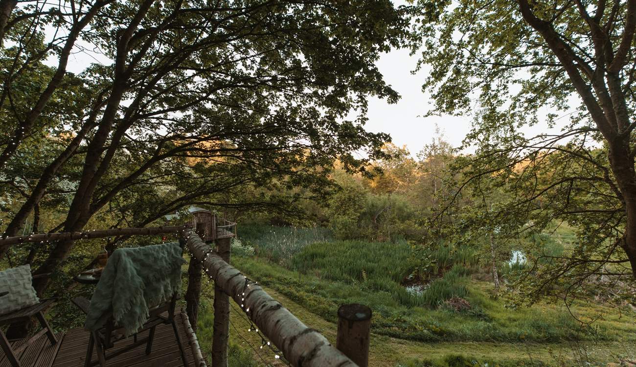 If you're quiet, you may be blessed with seeing birds and wild animals in this woodland wonderland. 
