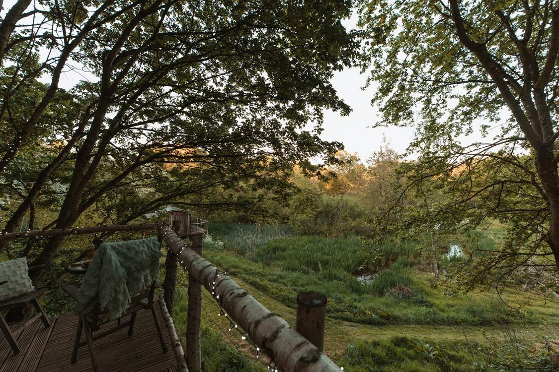 If you're quiet, you may be blessed with seeing birds and wild animals in this woodland wonderland.