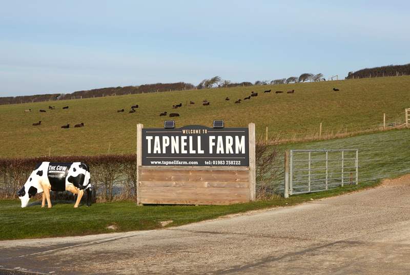 Head to Tapnell Farm, an adventure for everyone.