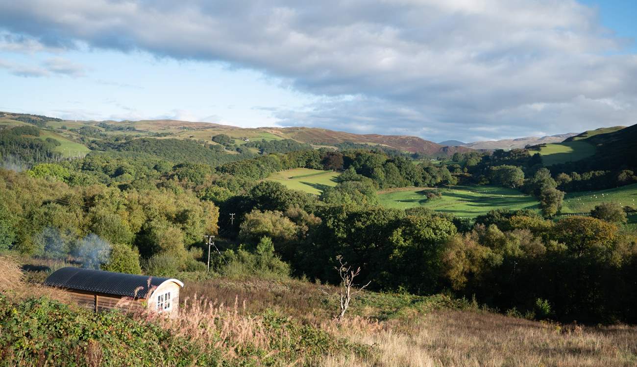 A pocket of paradise in the rural Welsh countryside. 