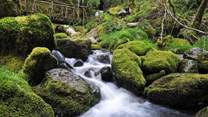 Hafod Estate is close by and is a historical 18th Century landscape, combining forests, rocky gorges and spectacular views. A haven for outdoor enthusiasts.