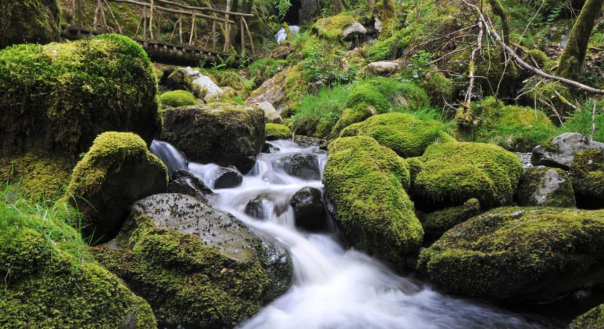 Hafod Estate is close by and is a historical 18th Century landscape, combining forests, rocky gorges and spectacular views. A haven for outdoor enthusiasts.