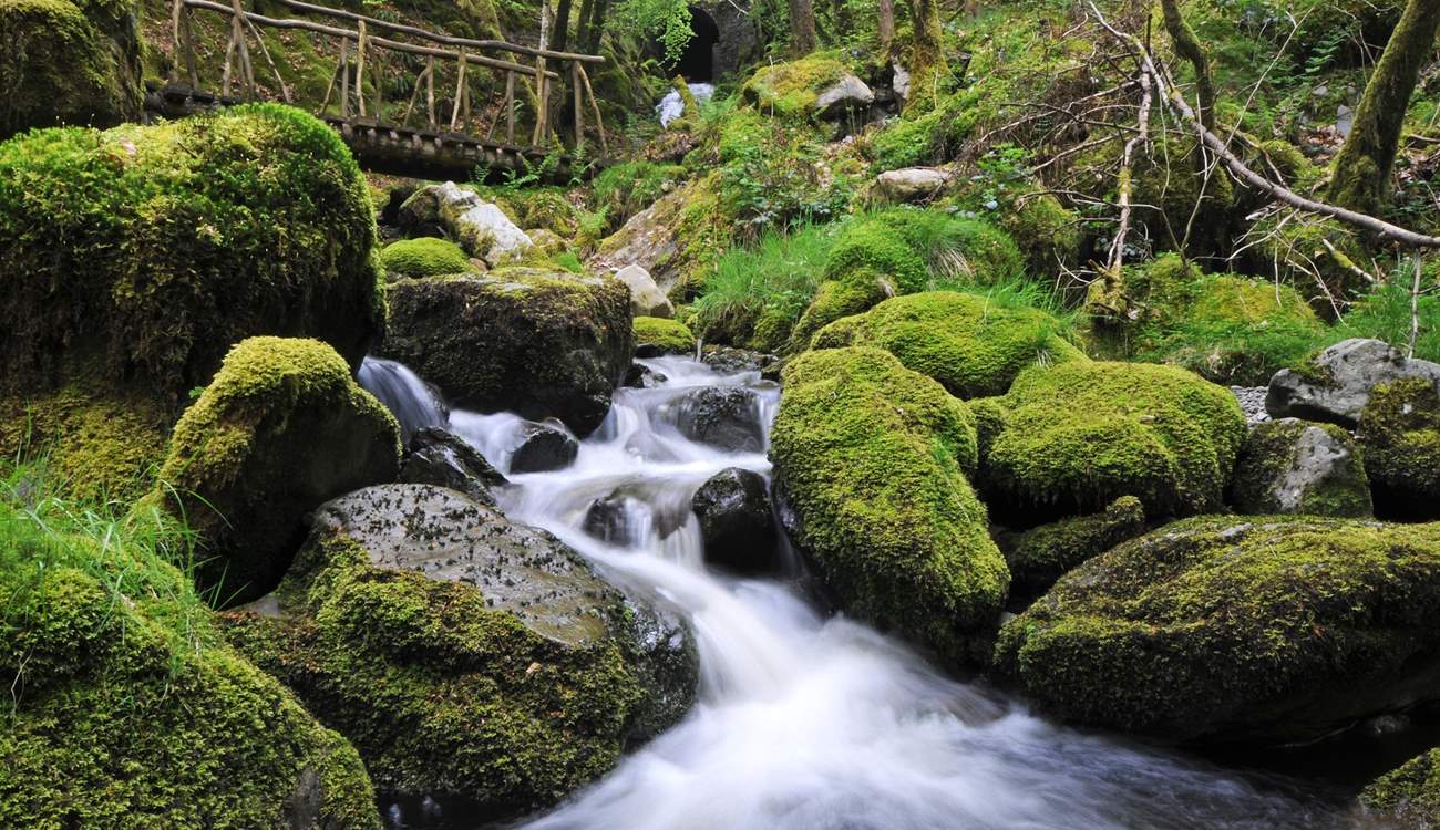 Hafod Estate is close by and is a historical 18th Century landscape, combining forests, rocky gorges and spectacular views. A haven for outdoor enthusiasts.