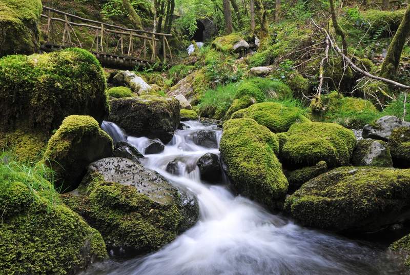 Hafod Estate is close by and is a historical 18th Century landscape, combining forests, rocky gorges and spectacular views. A haven for outdoor enthusiasts.
