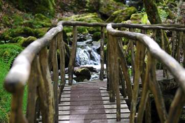 Get ready to explore all the beauty that surrounds your hideaway.