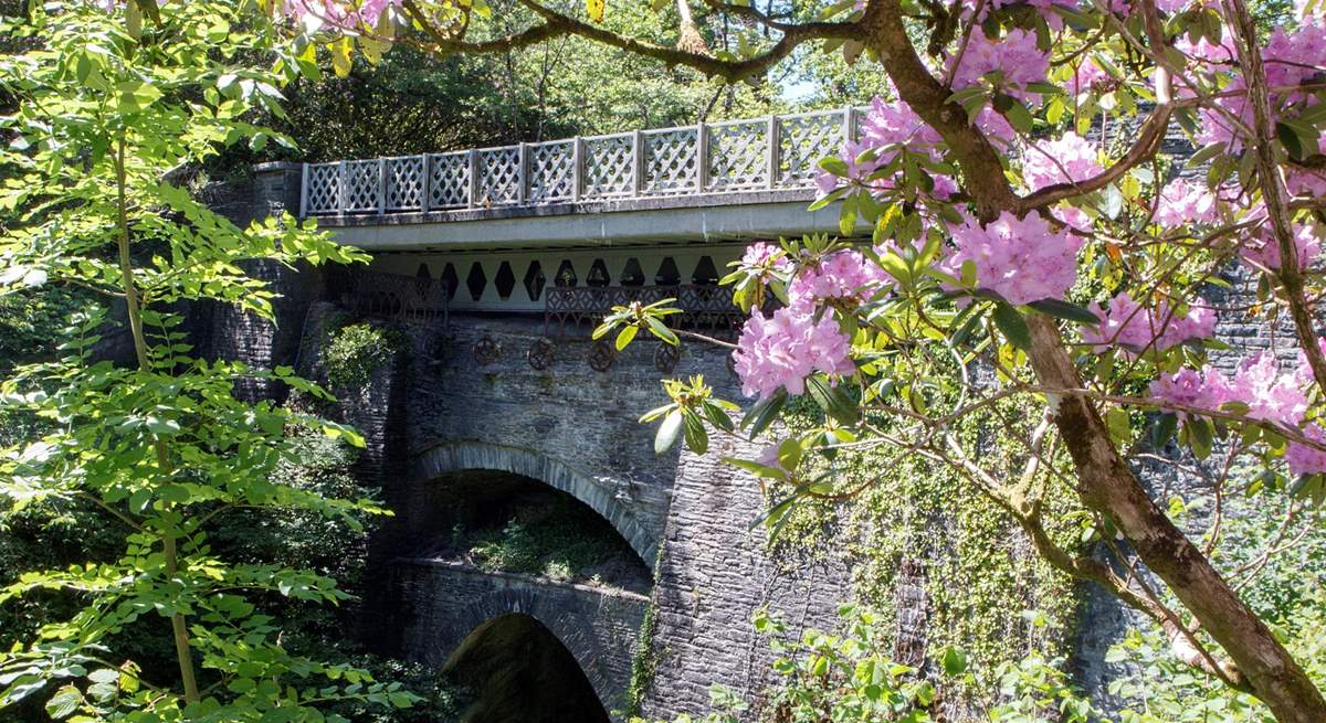 Ffion is nestled in Devil's Bridge, famous for its magical waterfall. 