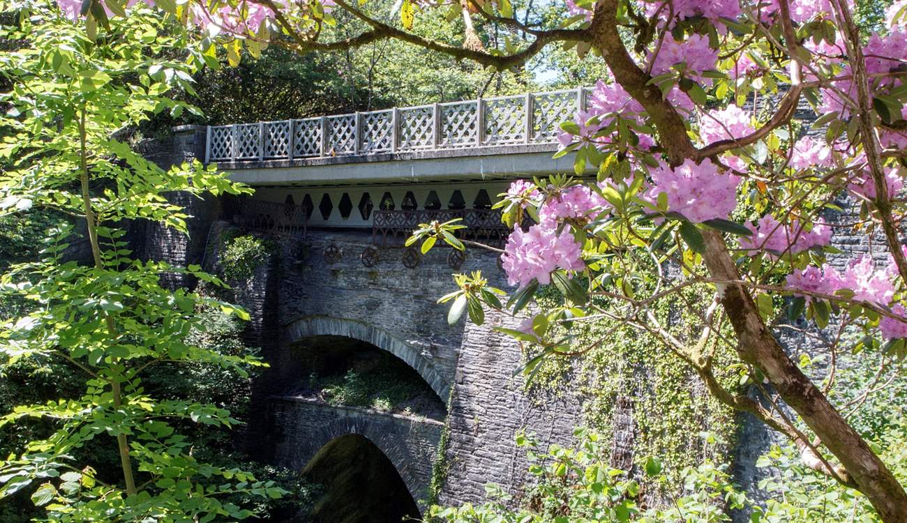 The hut is nestled in Devil's Bridge, famous for its magical waterfall. 