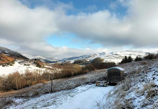 Looking utterly magical amongst the sparkling snow. 