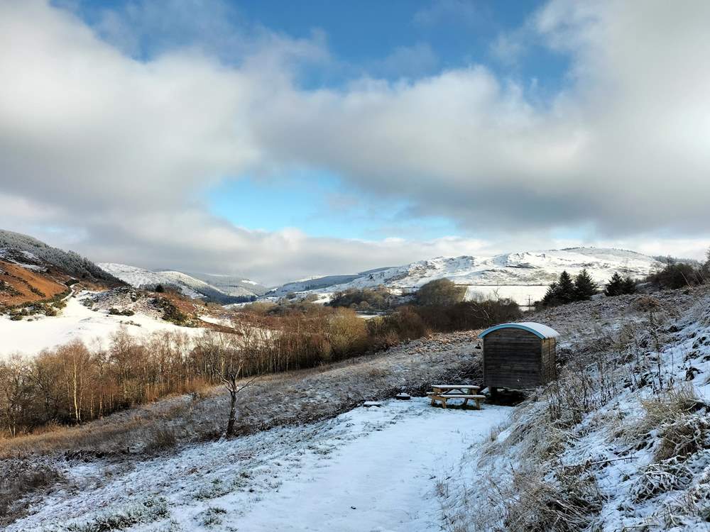 Looking utterly magical amongst the sparkling snow.