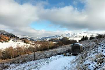 Ffion looking utterly magical amongst the sparkling snow.