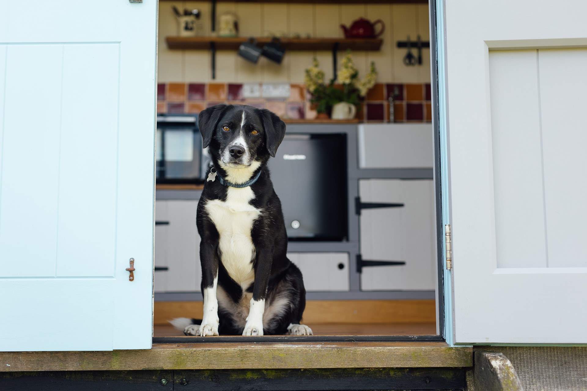 Four-legged friends are also warmly welcome here. 