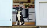 Four-legged friends are also warmly welcome here.  - Thumbnail Image