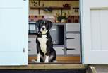 Four-legged friends are also warmly welcome here. 