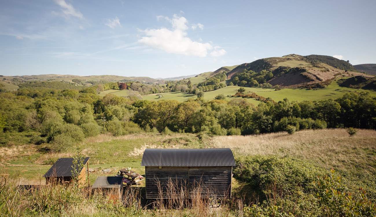 Ffion will capture your heart from the moment you arrive. 