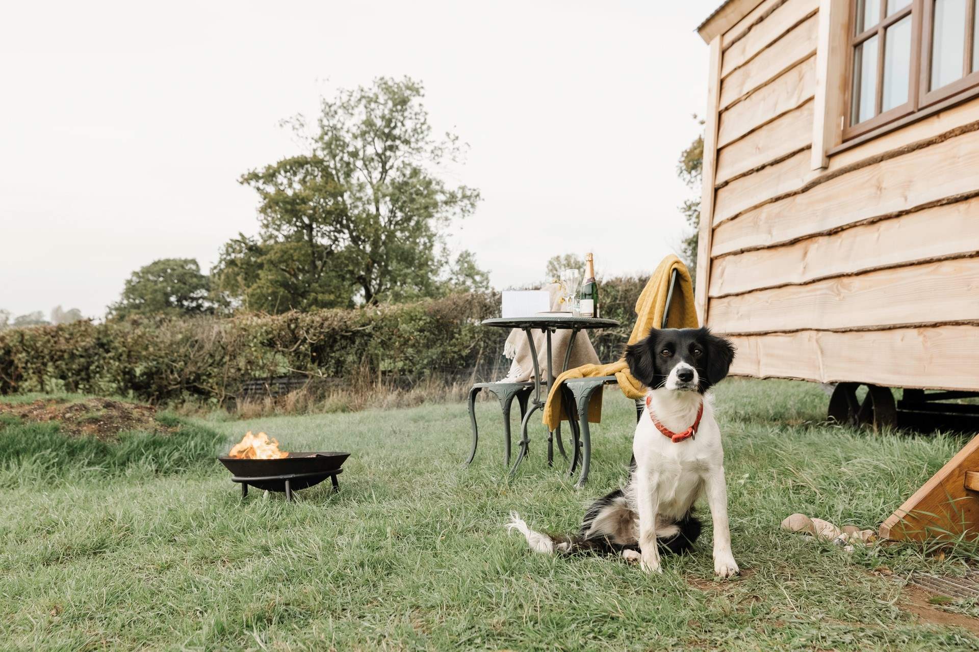 Your beloved pooch is welcome to come along for the adventure too. (Please note the fire pit is no longer available to guests). 