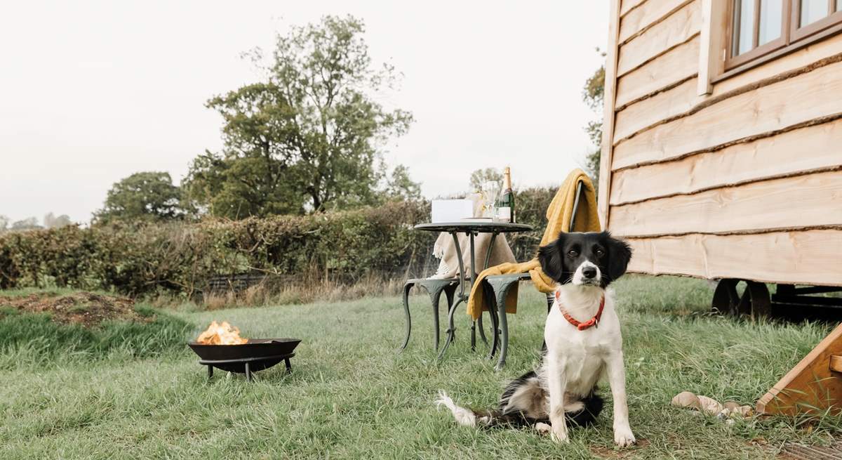 Your beloved pooch is welcome to come along for the adventure too. (Please note the fire pit is no longer available to guests). 