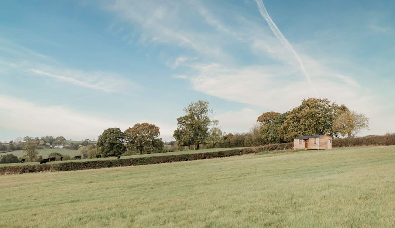 Perched at the top of a meadow, Annie's View boasts tranquil views of the gorgeous Dartmouth.