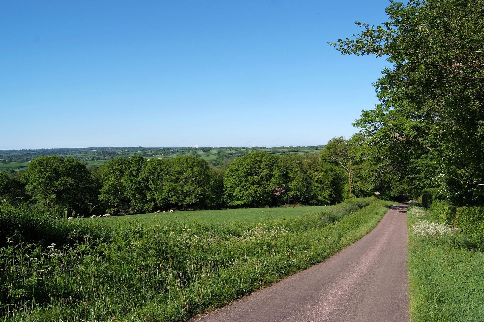 Beautiful views across the Otter Valley.