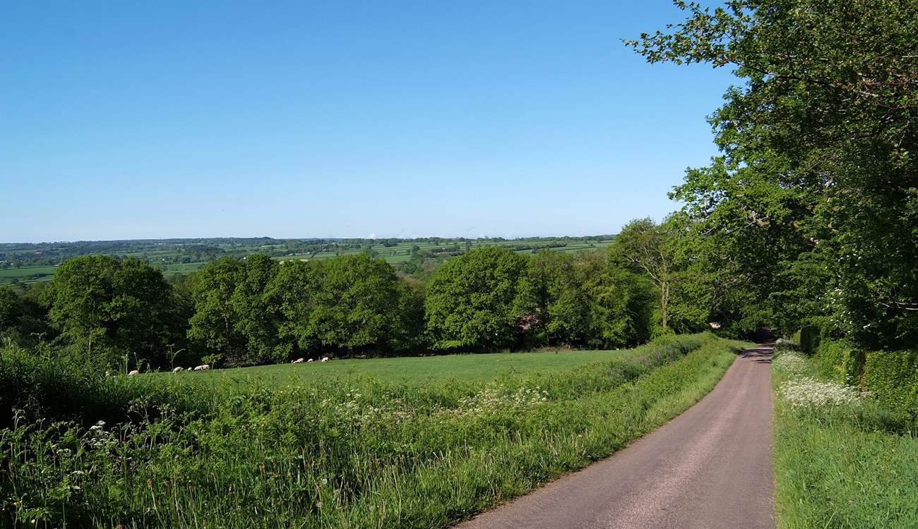 Beautiful views across the Otter Valley.