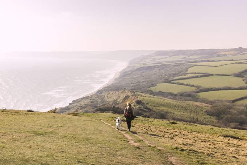 Explore the wonders of the Jurassic Coast, with its award-winning beaches and timeless charm.