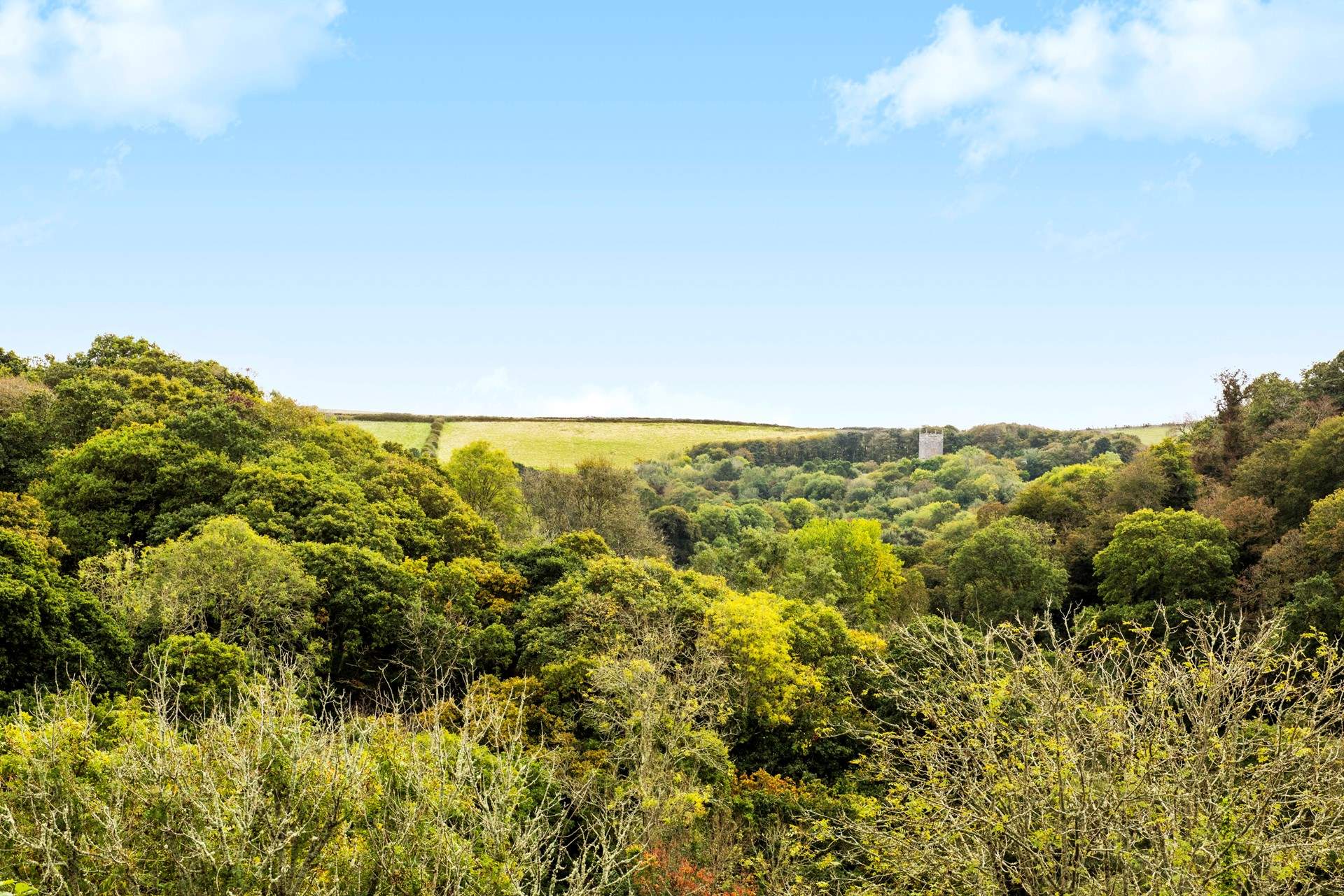 Penpont has a very special setting with wonderful views over the wooded valley towards Lanteglos Church.