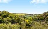 Penpont has a very special setting with wonderful views over the wooded valley towards Lanteglos Church. - Thumbnail Image