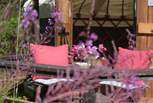 Pretty flowers surround the decking area.