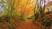 Exmoor is truly magical at any time of year. 