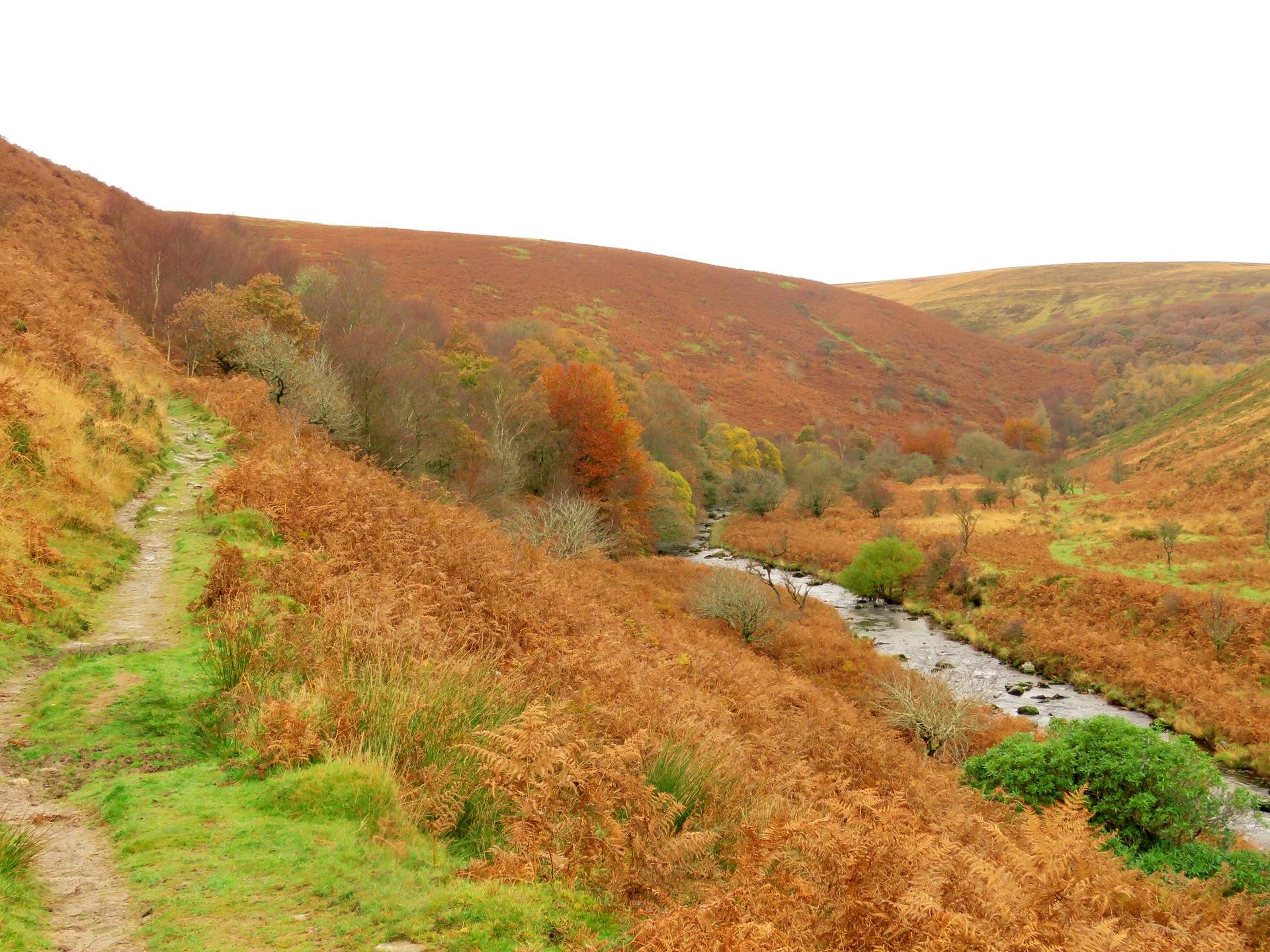 This is near Dunkery Beacon, the highest point on Exmoor.