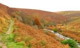 This is near Dunkery Beacon, the highest point on Exmoor. - Thumbnail Image