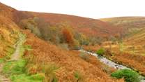 This is near Dunkery Beacon, the highest point on Exmoor.