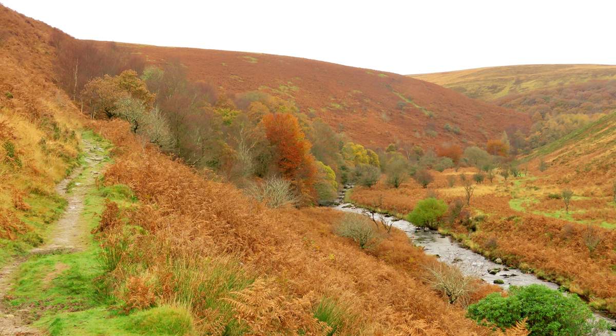 This is near Dunkery Beacon, the highest point on Exmoor.