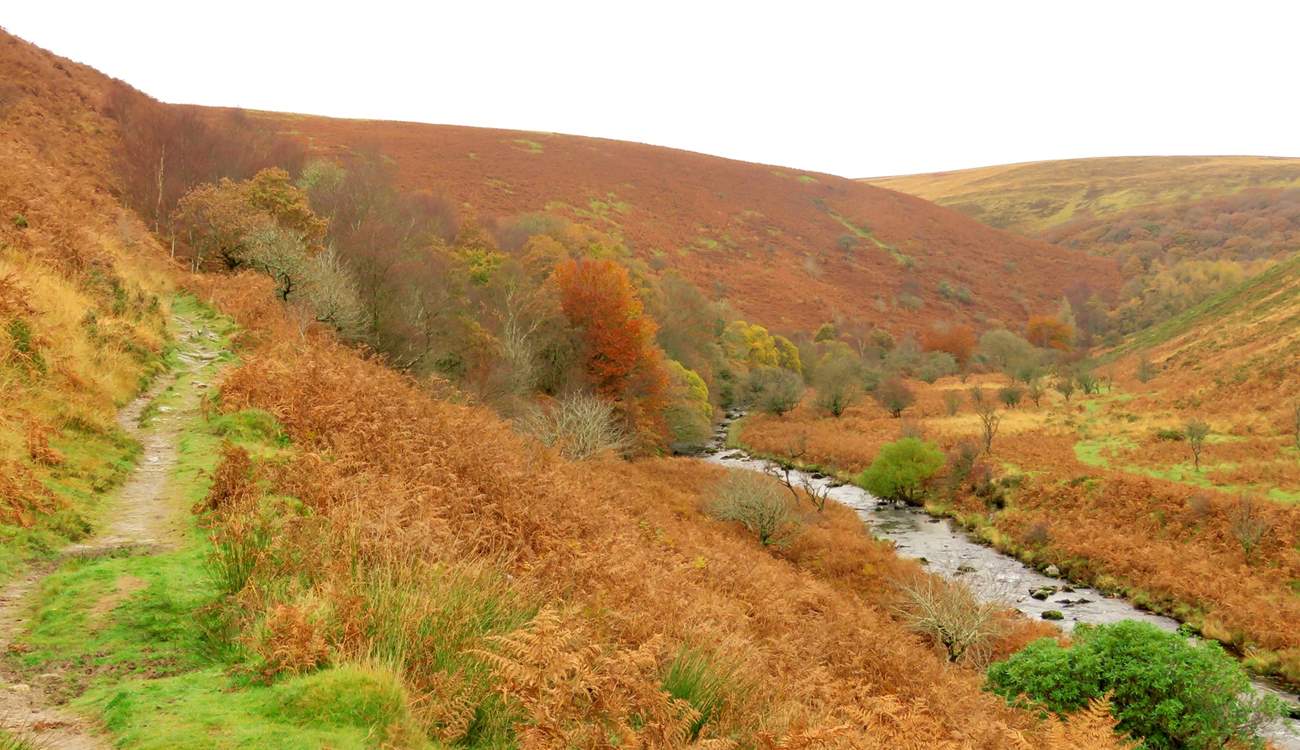 This is near Dunkery Beacon, the highest point on Exmoor.
