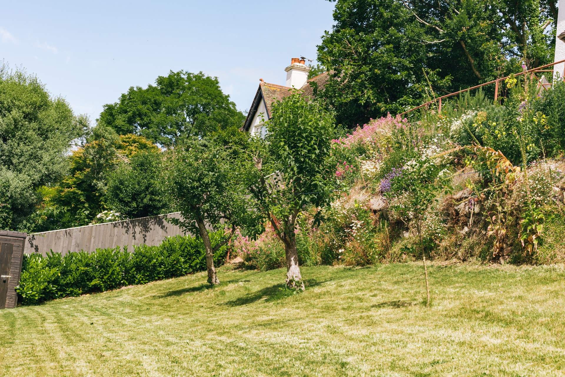 The garden is full of colour.