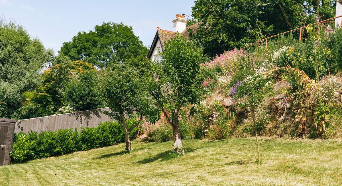 The garden is full of colour.