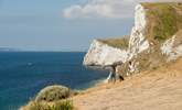 The coastal path is a great way to see delightful Dorset! - Thumbnail Image