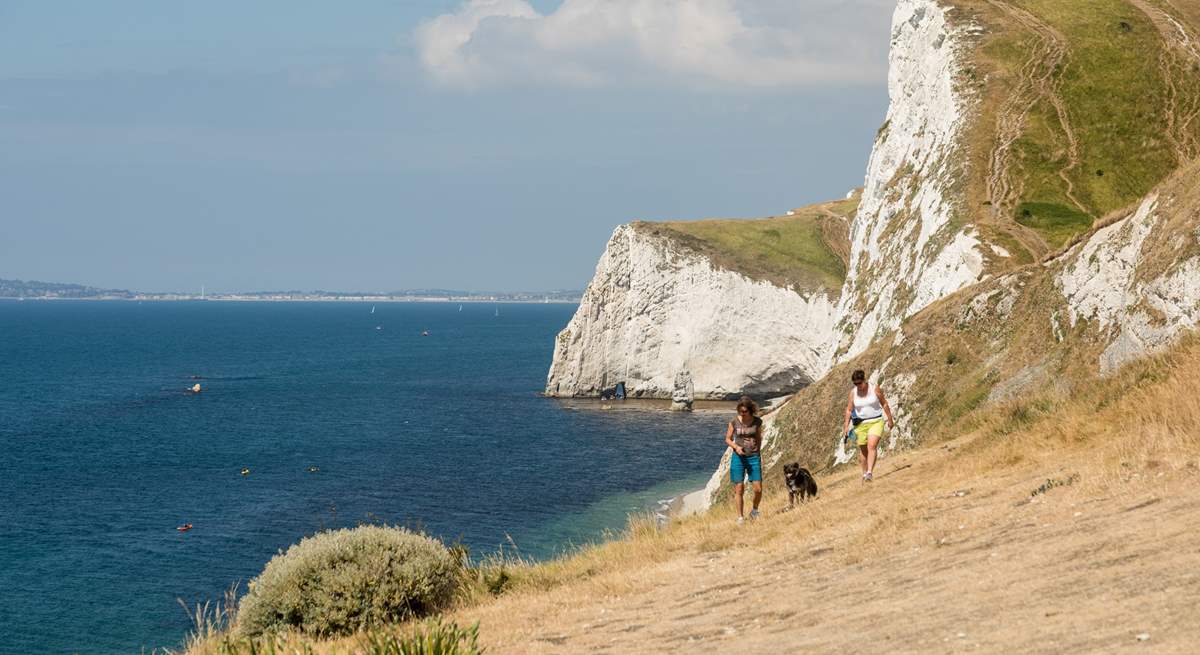 The coastal path is a great way to see delightful Dorset!