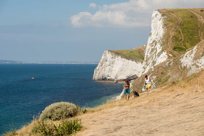 The coastal path is a great way to see delightful Dorset!