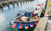 Visit the boats at West Bay harbour - the perfect place for crabbing ! - Thumbnail Image