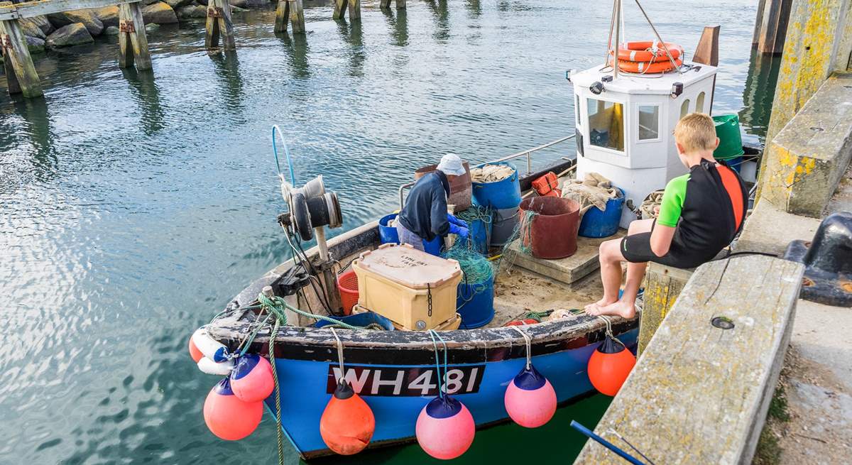 Visit the boats at West Bay harbour - the perfect place for crabbing !